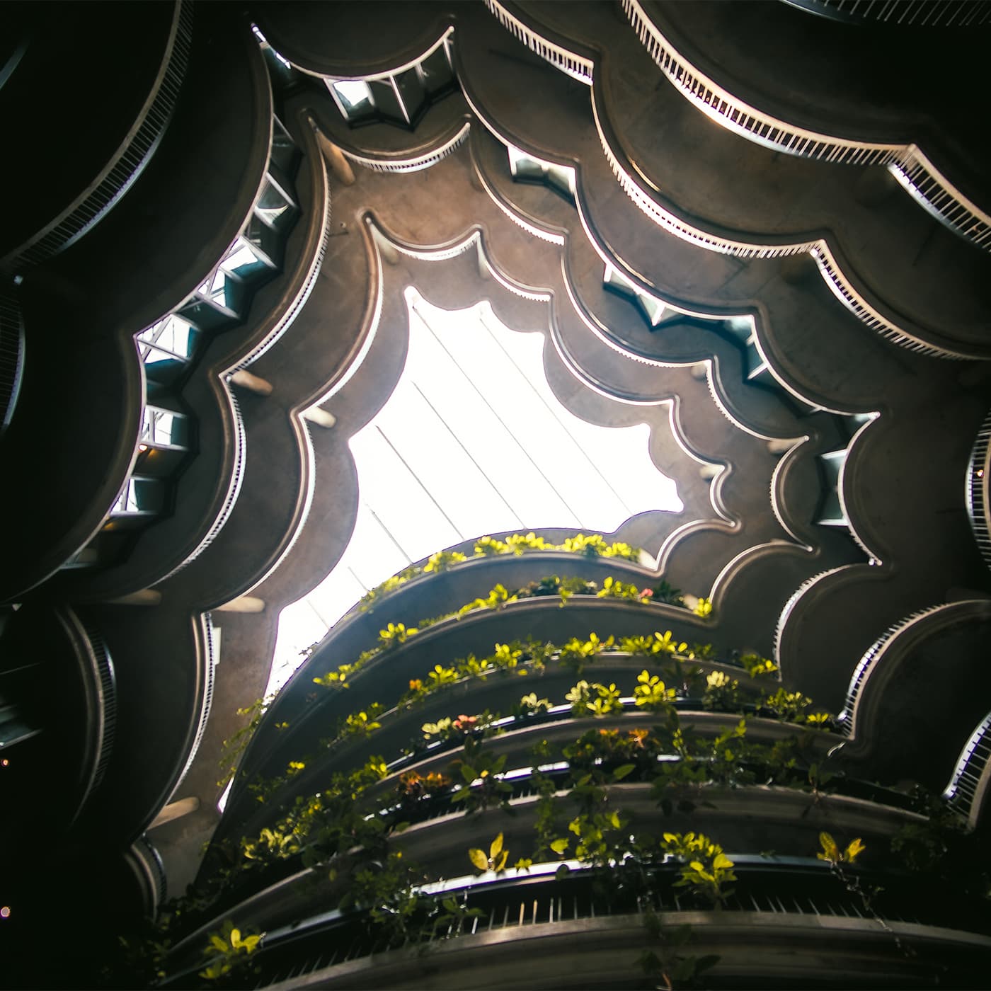 Nanyang University Singapore